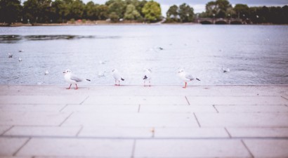 Hamburg